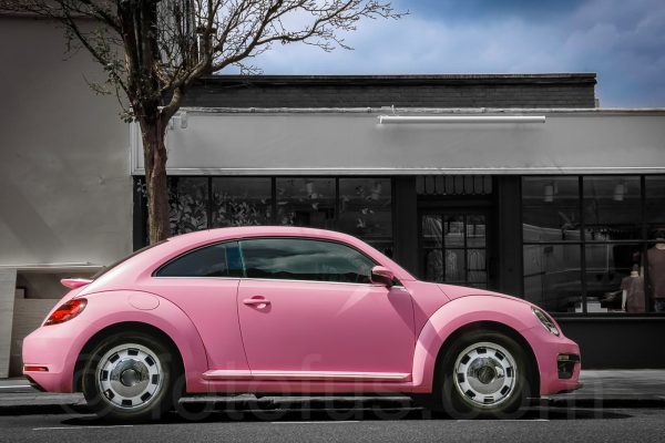 pink beetle art print