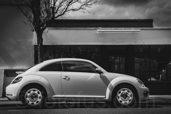 pink beetle art print